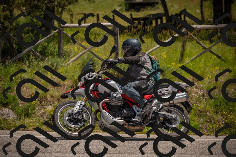 20250607125309-_Z628067_am_