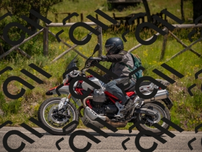 20250607125309-_Z628067_am_