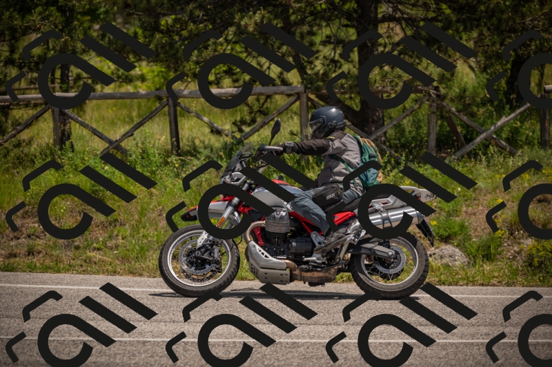 20250607125309-_Z628068_am_