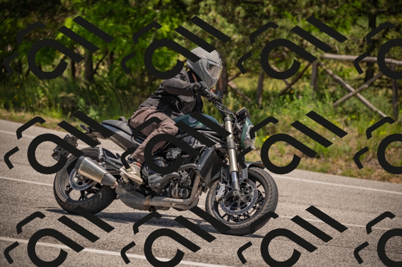 20250607125313-_Z628072_am_