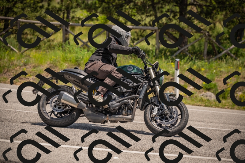 20250607125313-_Z628073_am_