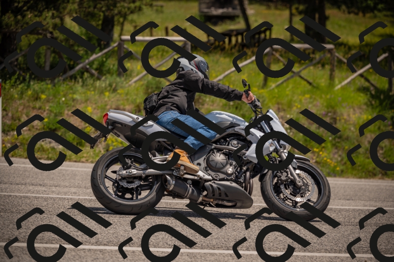 20250607125319-_Z628076_am_