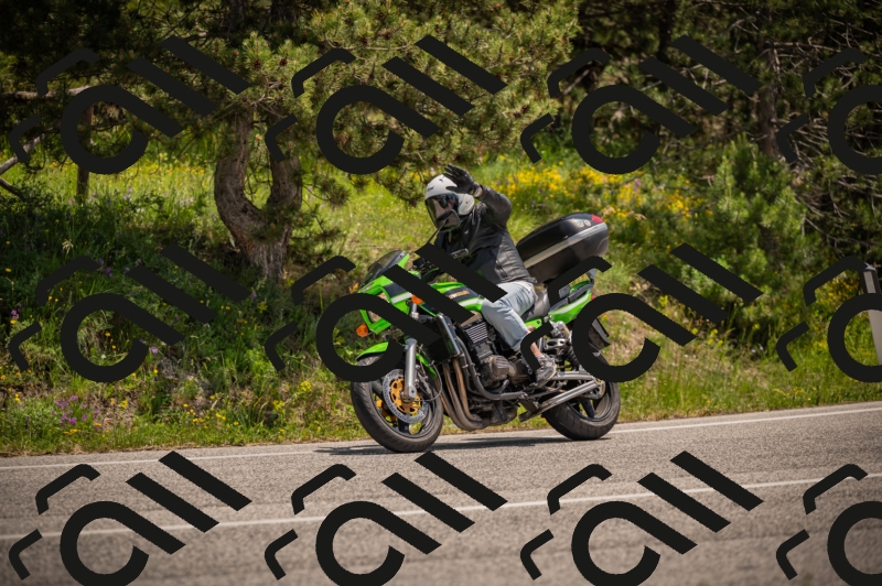 20250607125329-_Z628078_am_