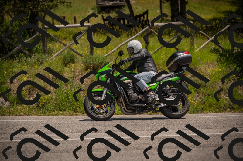 20250607125329-_Z628079_am_