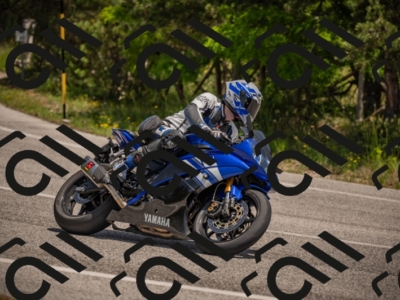 20250607125502-_Z628082_am_