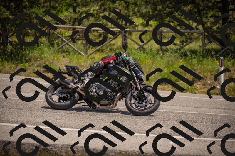 20250607125505-_Z628086_am_