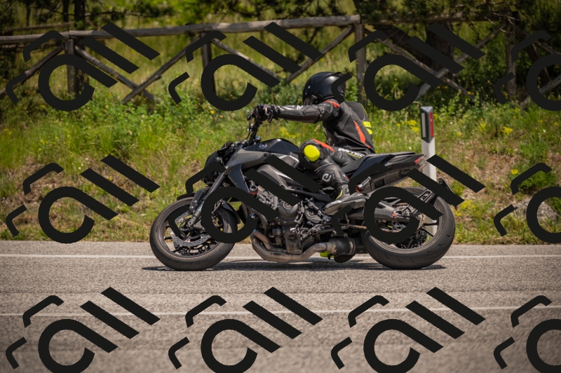 20250607125952-_Z628137_am_