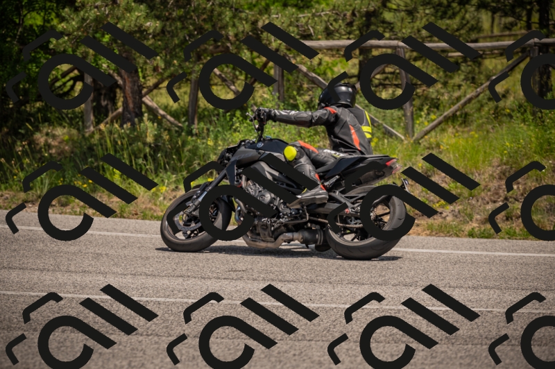 20250607125952-_Z628138_am_