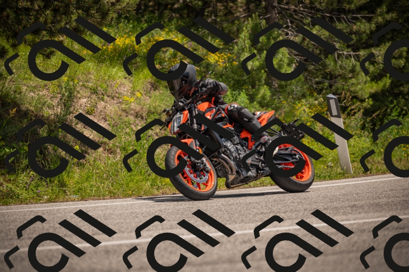 20250607125955-_Z628139_am_