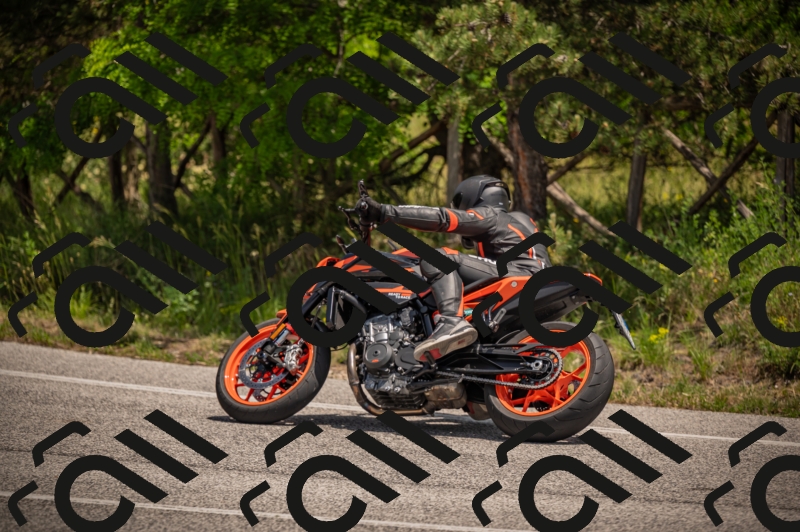 20250607125956-_Z628142_am_