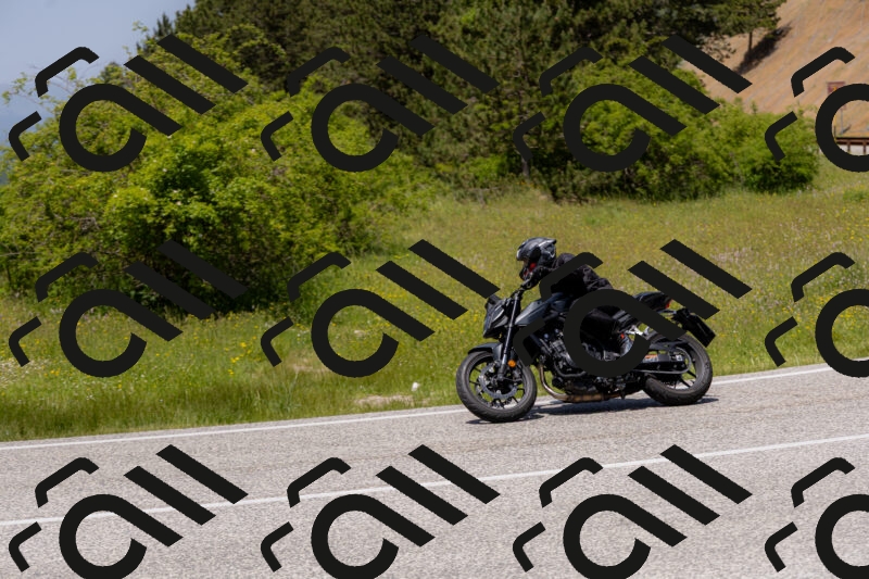 202506071329-_04A9803_c3_