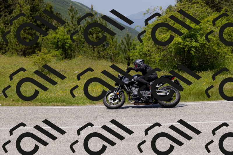 202506071329-_04A9804_c3_