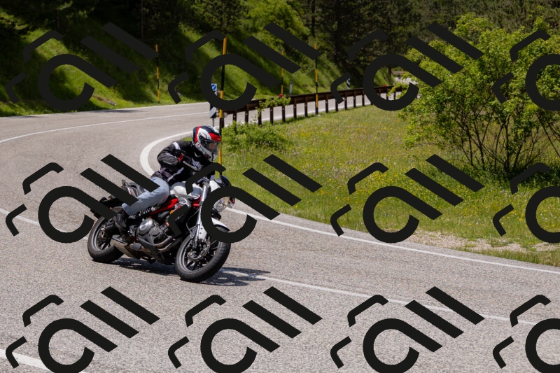 202506071329-_04A9808_c3_