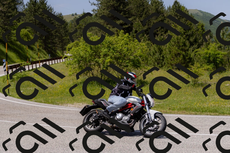 202506071329-_04A9809_c3_