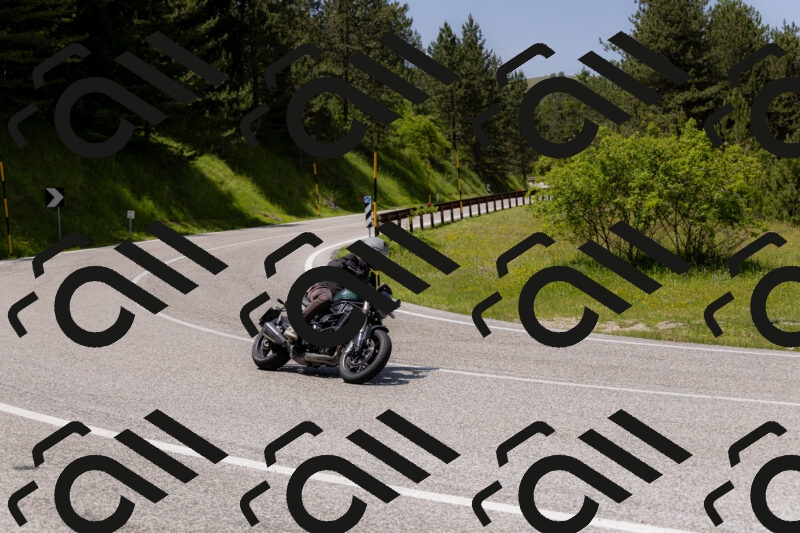 202506071329-_04A9811_c3_