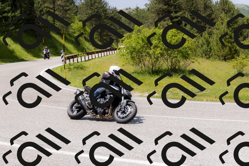 202506071332-_04A9822_c3_