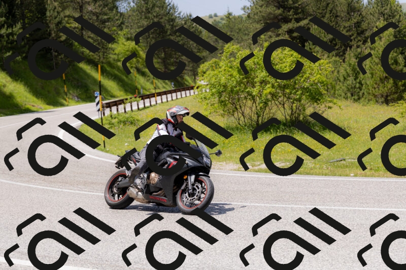 202506071333-_04A9826_c3_