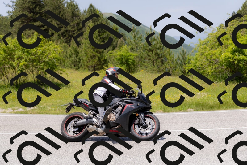 202506071333-_04A9827_c3_