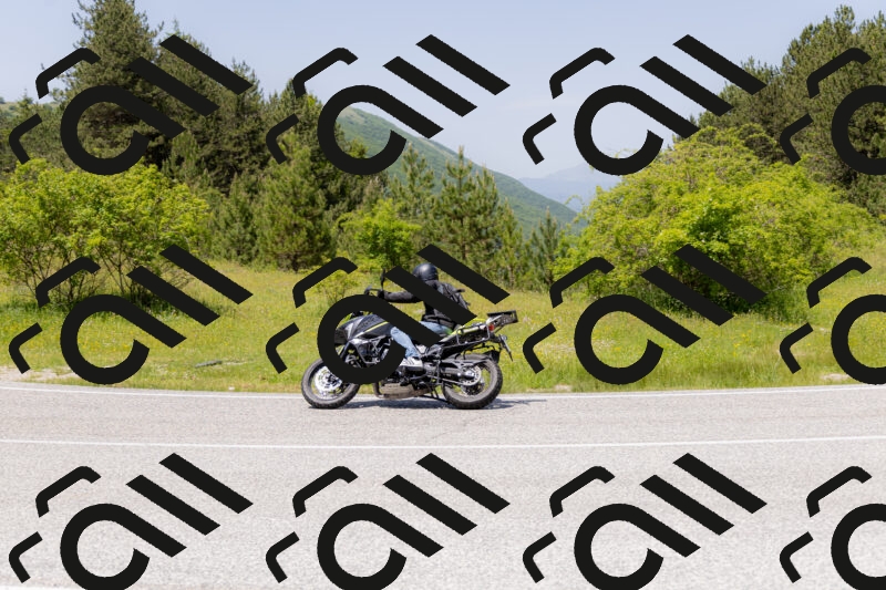 202506071335-_04A9837_c3_