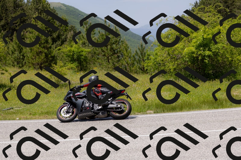 202506071340-_04A9850_c3_