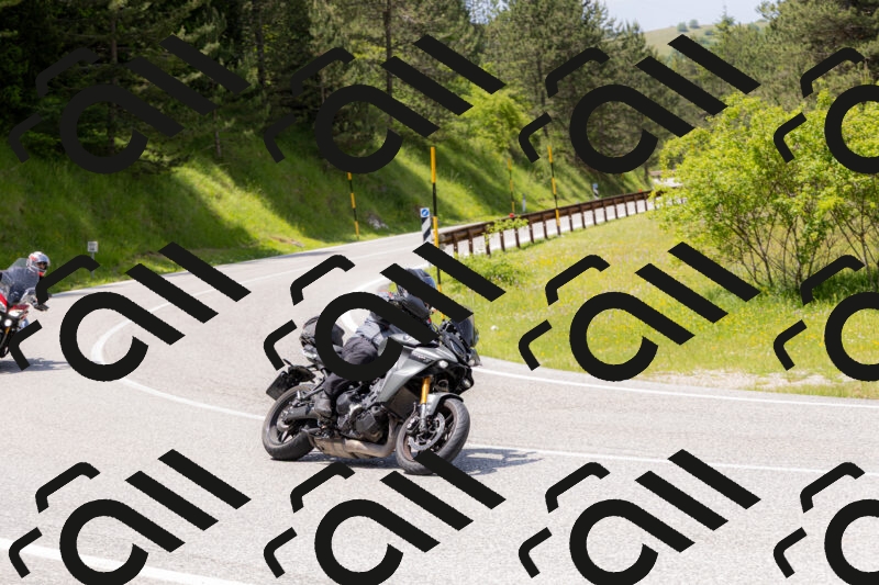 202506071342-_04A9853_c3_