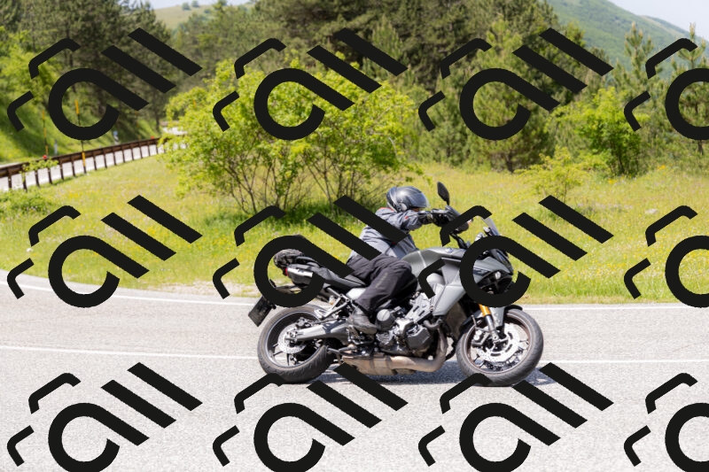 202506071342-_04A9854_c3_