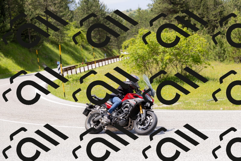 202506071342-_04A9855_c3_