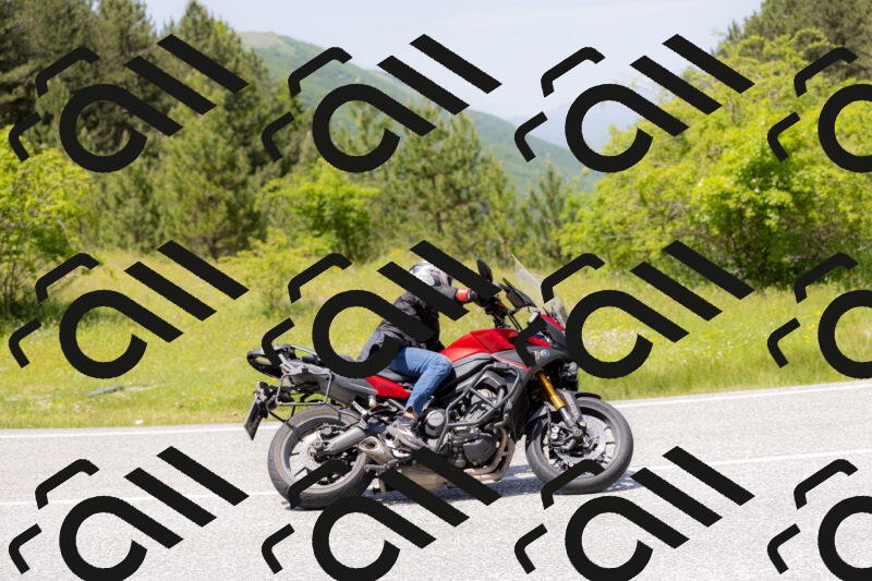 202506071342-_04A9856_c3_