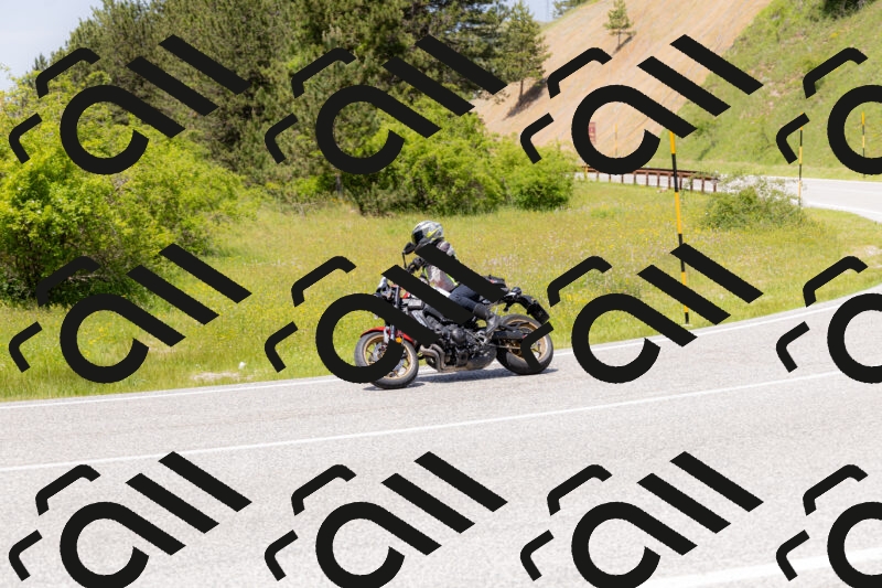 202506071342-_04A9858_c3_