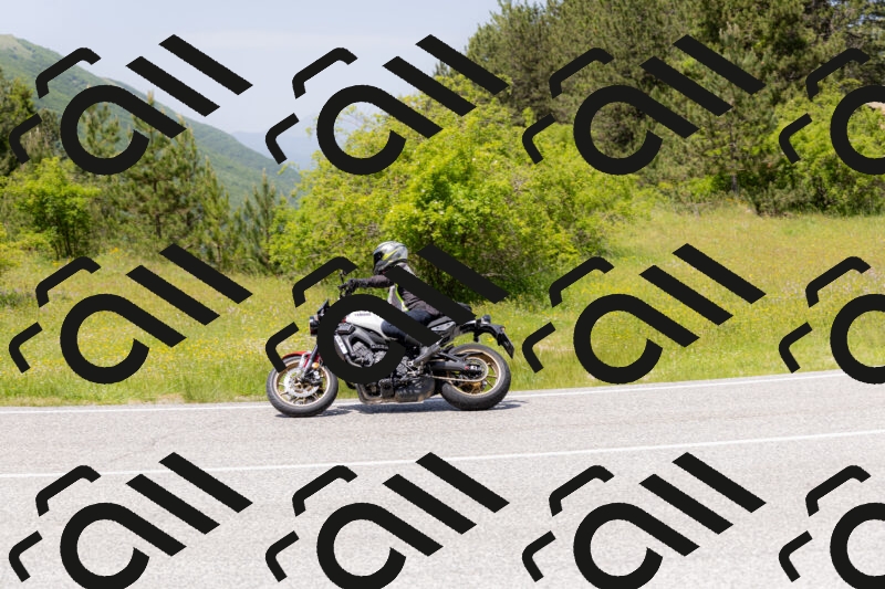 202506071342-_04A9859_c3_