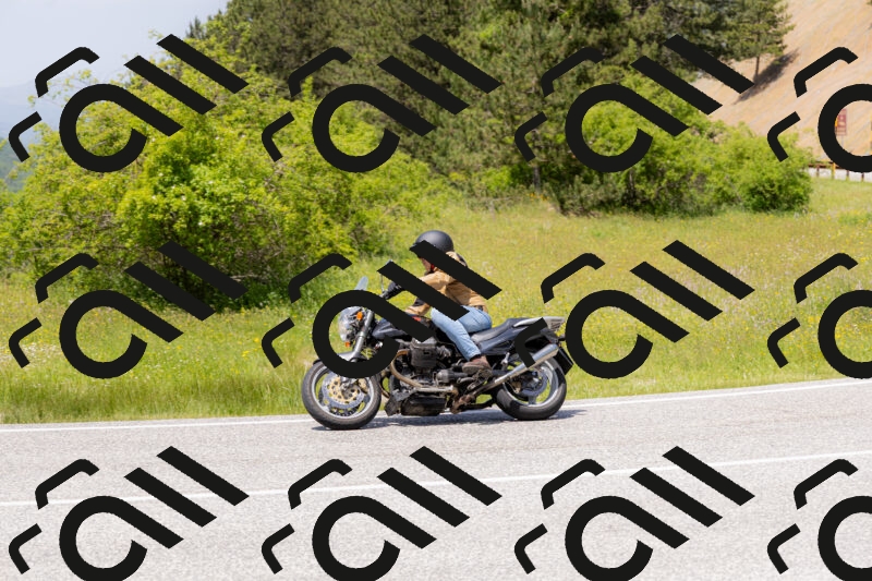 202506071343-_04A9861_c3_