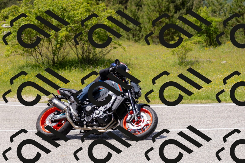 202506071343-_04A9869_c3_