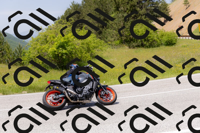 202506071344-_04A9870_c3_