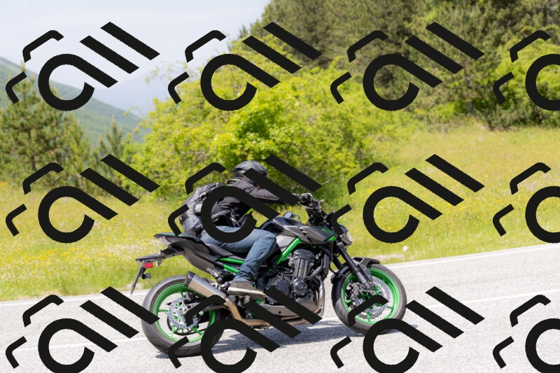 202506071344-_04A9877_c3_