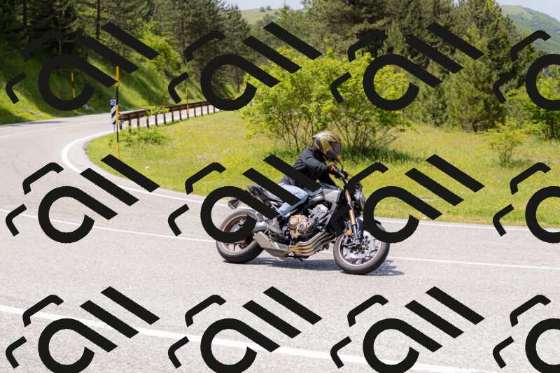 202506071354-_04A9900_c3_