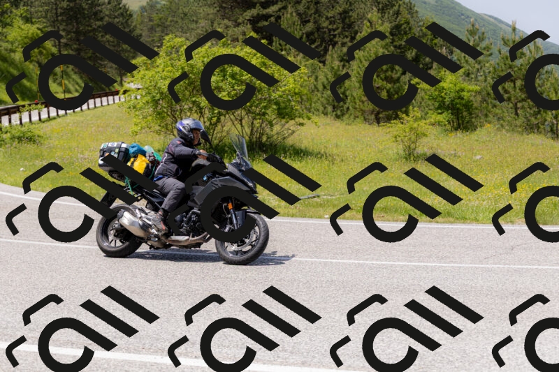 202506071356-_04A9902_c3_