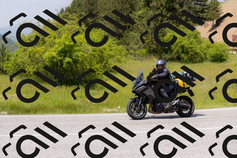 202506071358-_04A9910_c3_