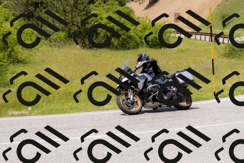 202506071358-_04A9918_c3_