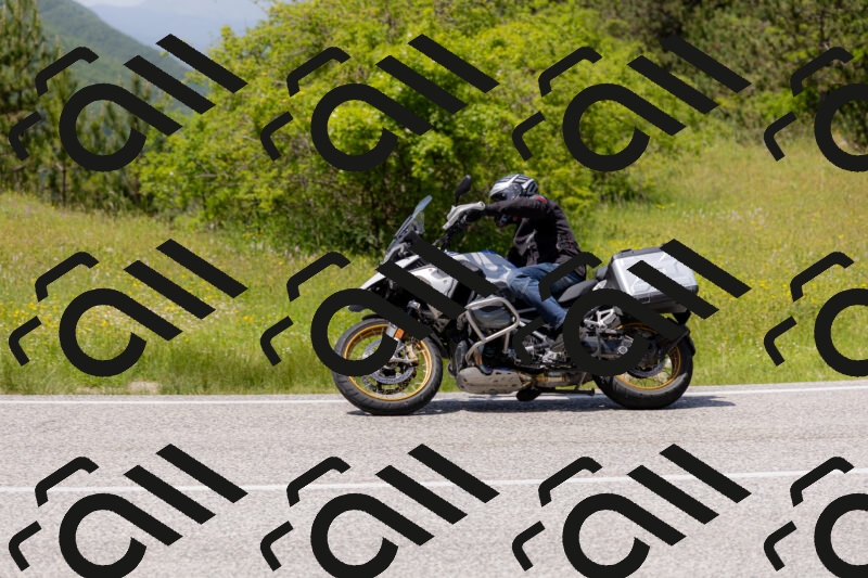 202506071358-_04A9919_c3_