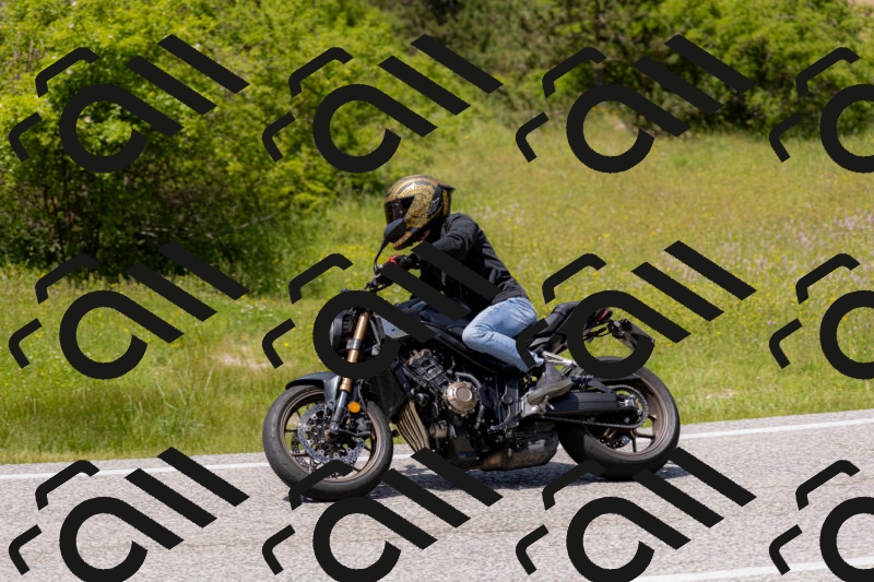 202506071400-_04A9926_c3_