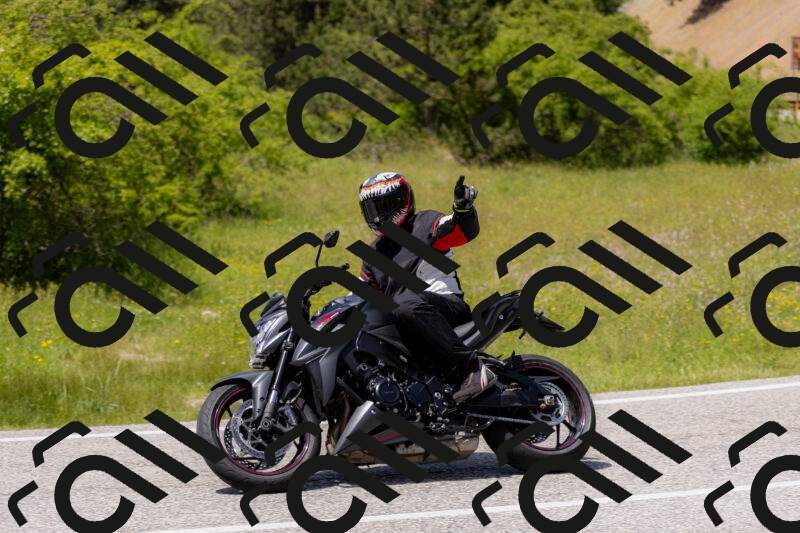 202506071403-_04A9931_c3_