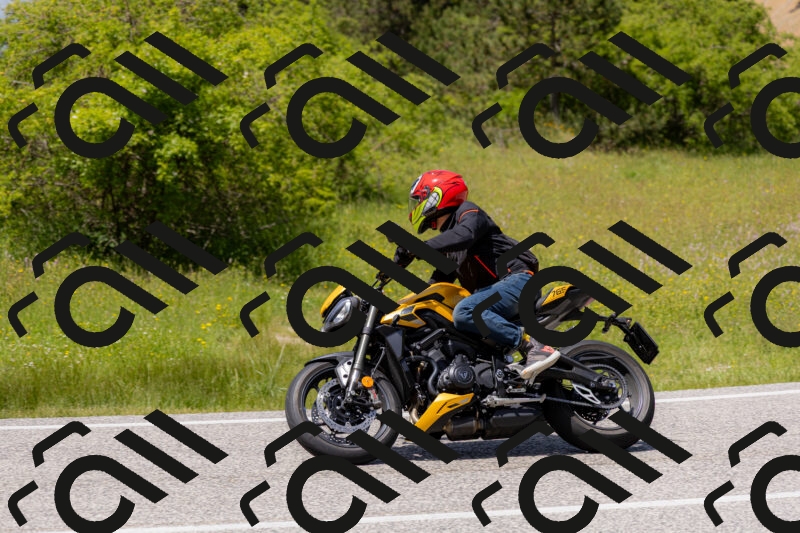 202506071403-_04A9933_c3_