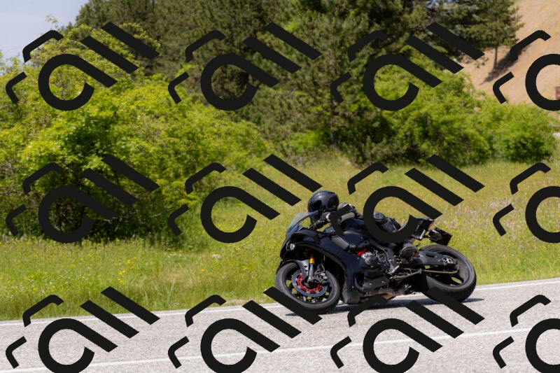 202506071403-_04A9939_c3_