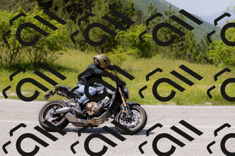 202506071408-_04A9971_c3_