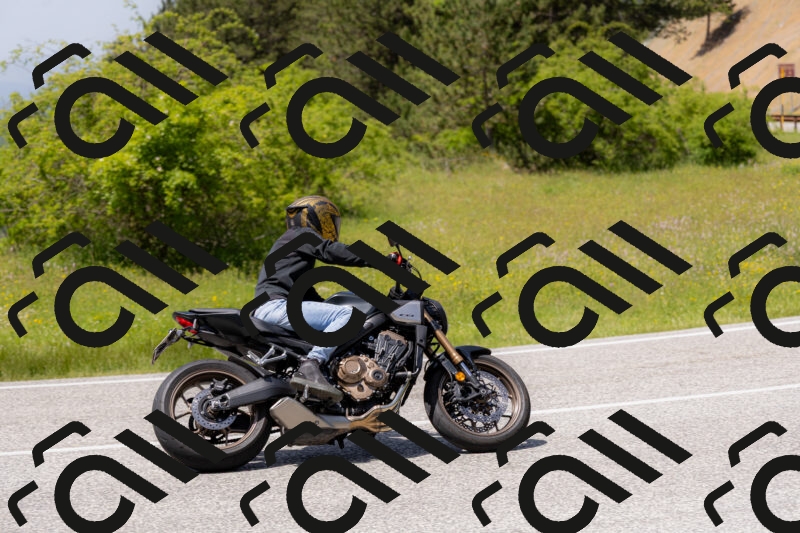 202506071408-_04A9972_c3_