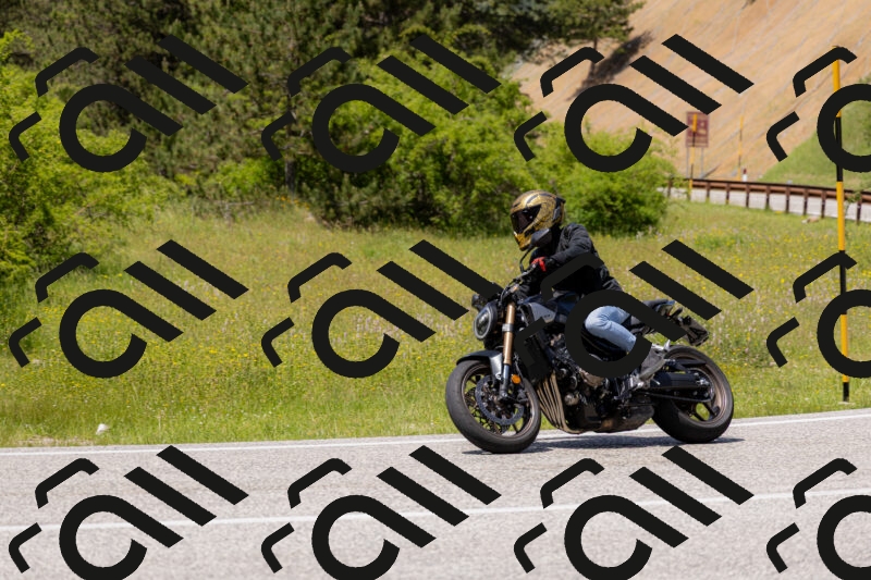 202506071409-_04A9976_c3_