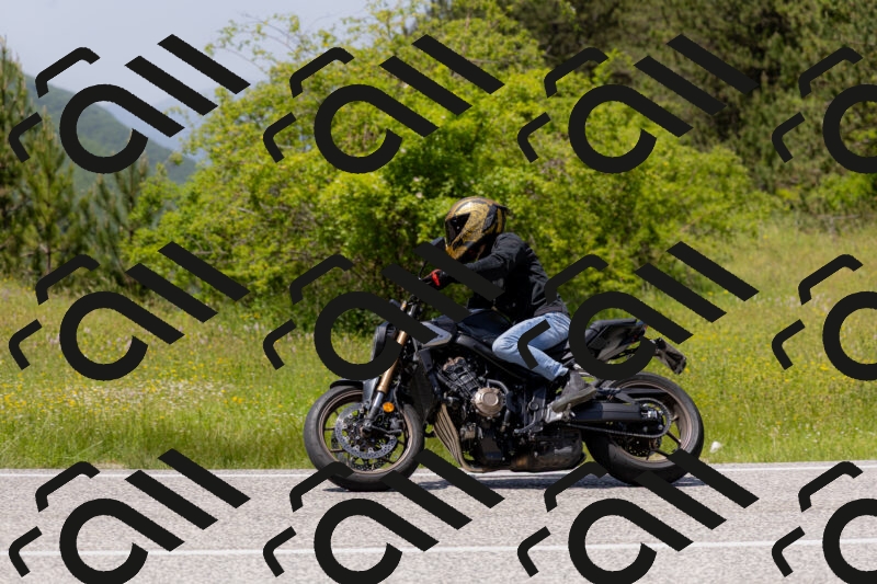 202506071409-_04A9977_c3_