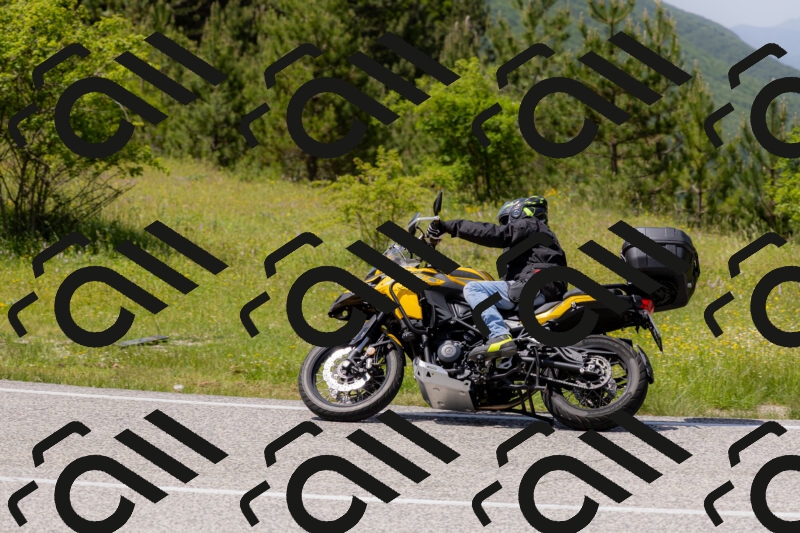 202506071410-_04A9983_c3_