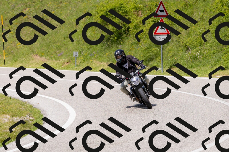 202506071416-_04A0005_c3_