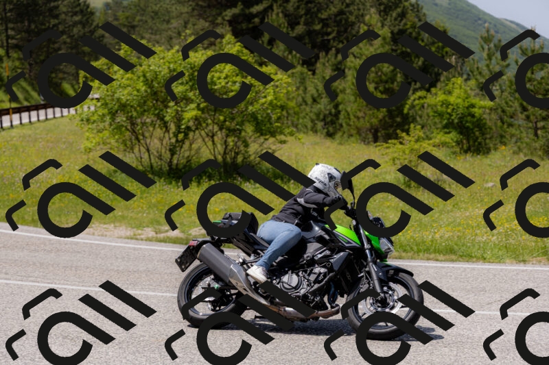 202506071420-_04A0010_c3_